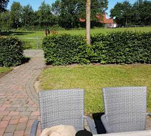 Hinterer Garten mit Pferdewiese