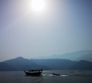 Dhow Kreuzfahrt Dibba