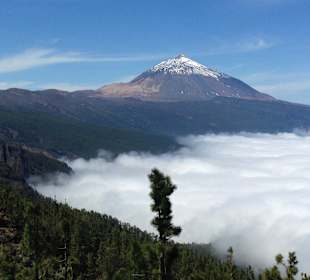 Teide