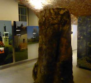 Fledermausmuseum im Untergeschoss