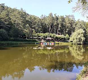 Paddelsee in Hauenstein