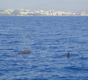 Fahrt mit dem Schiff
