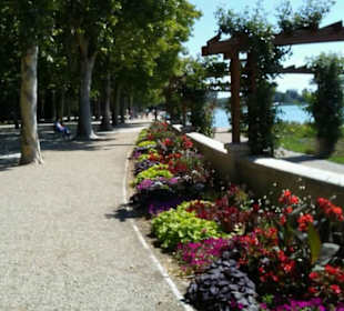 Blumenpracht an der Promenade