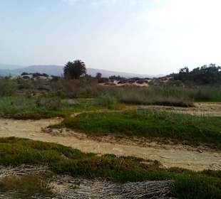 Naturschutzgebiet La Charca in Maspalomas