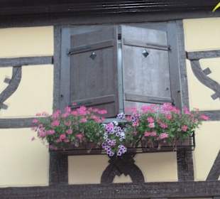 Mit Liebe zum Detail