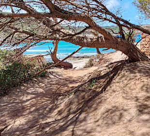 Blick zum Strand