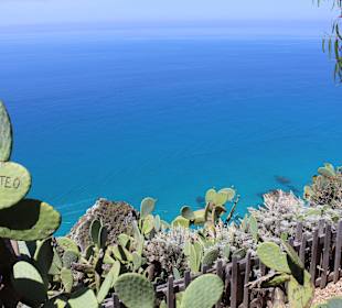Capo Vaticano