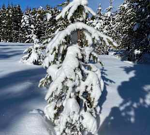 Wandern Nova Ponente / Deutschnofen