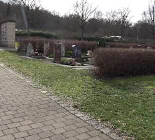 Friedhof Frickenhausen