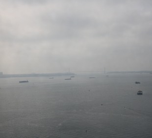 Blick aus der Krone!