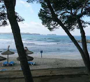 Am Strand Tora in Paguera