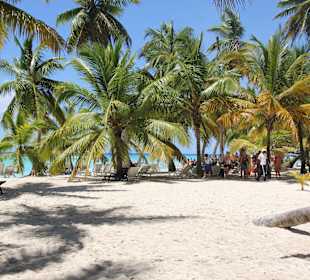 Insel Saona 