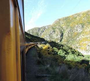 Mitder Taileri Railway durch die Natur Neuseelands