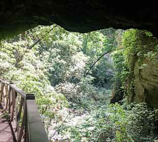 Weg zum Wasserfall