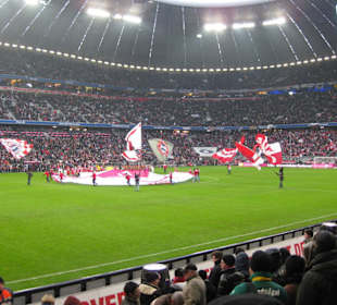 Allianz-Arena