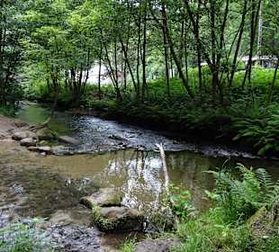 Kirnitzschtal