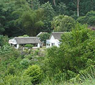 Jardin du Roi, Mahé, Seychellen