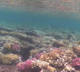 Jaz Makadi Oasis Club & Resort 