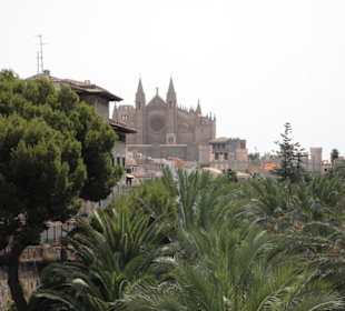 Kathedrale von aussen