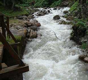 Wasserbächlein überall