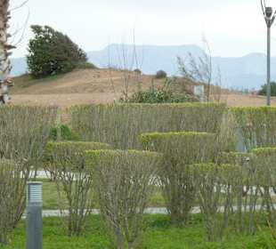An der Promenade - leichtes Grün erscheint