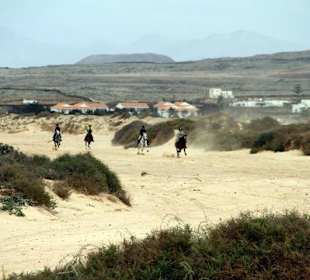 River bed gallop ride los pinos verdes