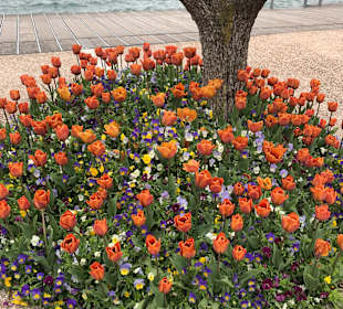 Seepromenade