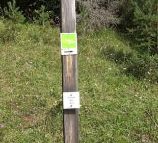 Premiumwanderweg "hochgesprudelt"