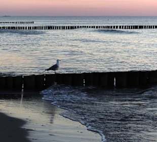 Strand Graal-Müritz