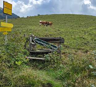 Gute Hinweisschilder für den 1.WK