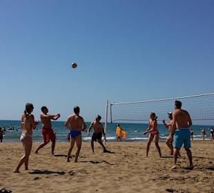 Volleyball