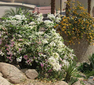 Nubia Museum, Schöne Gartenanlage