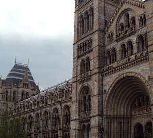 Muzeum Historii Naturalnej