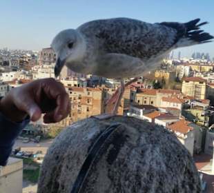 Blick vom Galataturm