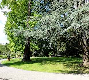 Impressionen von der Insel Siebenbergen
