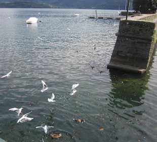 Uferpromenade Gravedona
