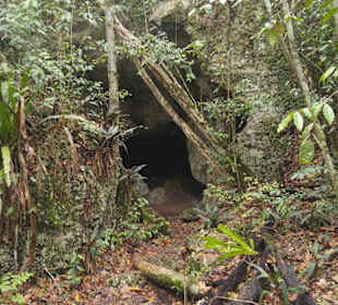 Tour & Ausflug Bayahibe