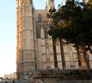 Kathedrale vom Palma