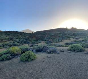 Teneriffa Tour Teide-Nationalpark