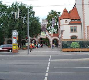 Zooeingang