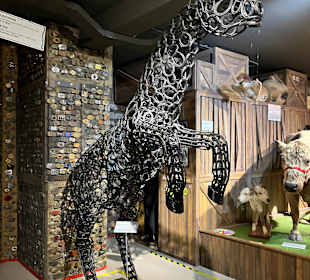 Museum Ripley's Believe It or Not!