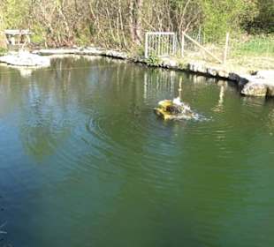 Panorama Therme Beuren