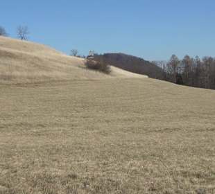 Naturschutzgebiet Meisenbühl