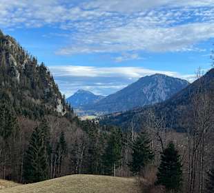 Nesslauer Alm