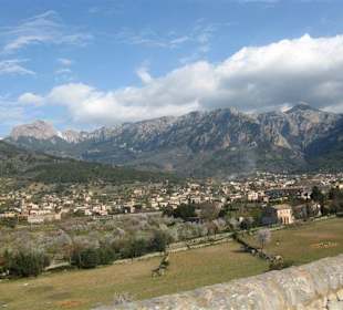 Soller