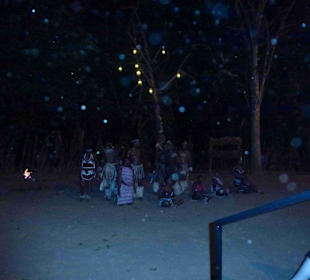 Krüger Nationalpark