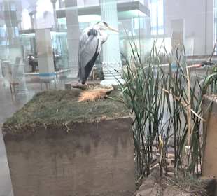 Staatliches Naturkunde Museum