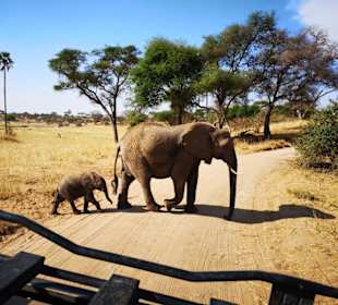 Geführte Touren Paradies Safari