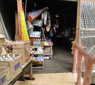 Wildlife Expeditions