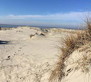 Strand Borkum